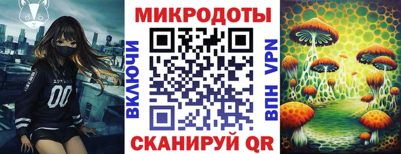 Галлюциногенные грибы Psilocybine cubensis  Высоковск 
